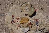 Mexican Arts