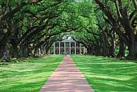 OakAlley_Plantation