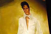 Elvis